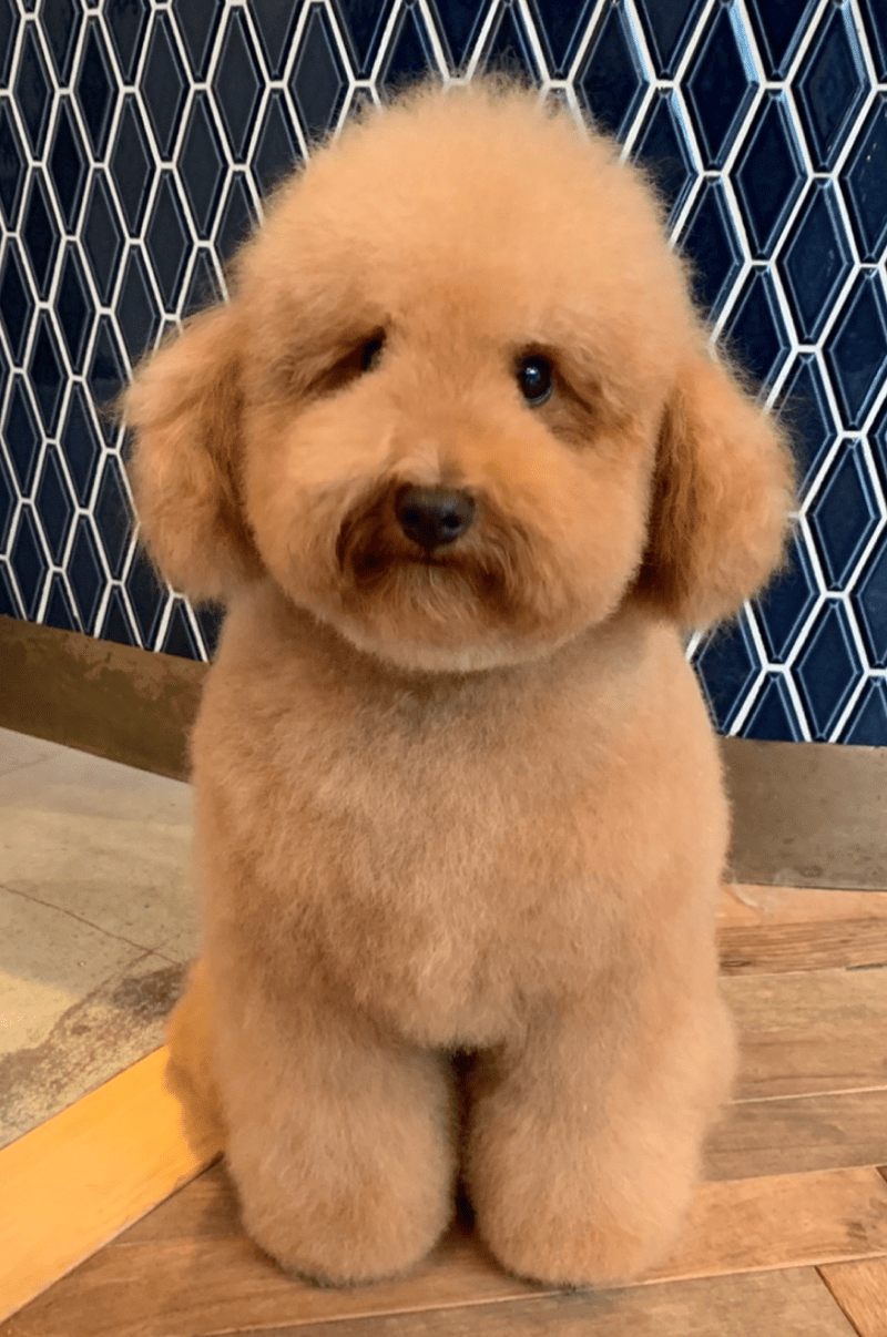 PROJECT 川崎 碧海